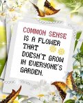Common Sense (image for) Common Sense
